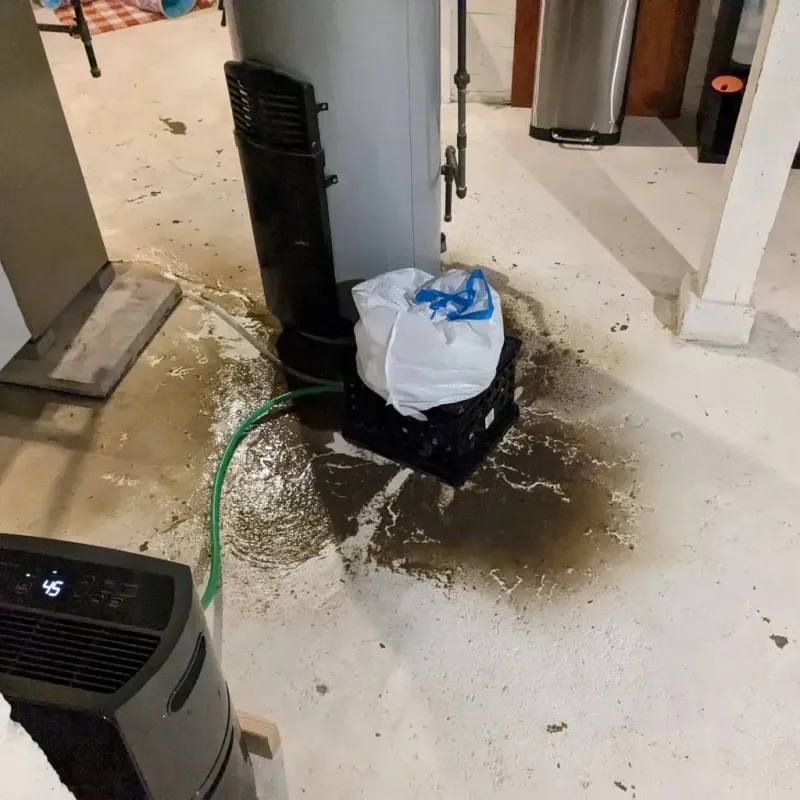 Sewage Backup Cleanup Service in Brewster County, TX